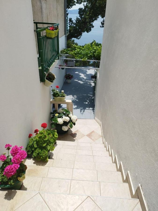 Apartments Mare - 150 M From Beach ブレラ エクステリア 写真